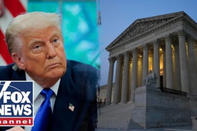 Supreme Court Deals President Trump a Rare Defeat in Illinois