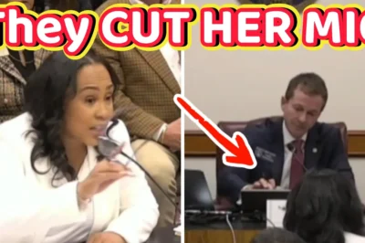 Fani Willis Erupts During Senate Testimony, Microphone Cut Off Amid Heated Exchange