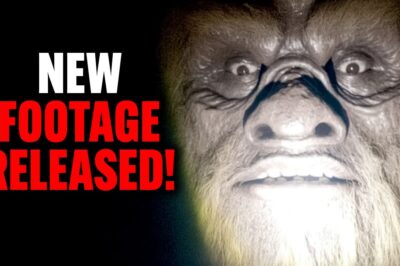 Bryce Johnson: “The Expedition Bigfoot Cameras Caught Something INSANE After Everyone Left The Site”