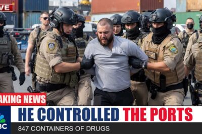 FBI & ICE Raid “Gatekeeper” of America’s Ports — 847 Containers of Drugs & $42M Bribes | US Military