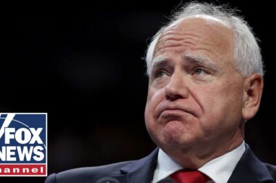 Tim Walz Allies Panic Amid Bombshell Fraud Scandal: ‘Real Vulnerability’