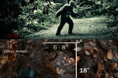 Jaw-Dropping Evidence: Bigfoot Caught on Camera—Is This the Proof We’ve Been Waiting For?