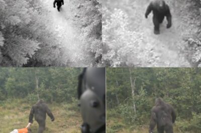Helicopter Pilot Films Bigfoot Dragging a Human Body | Sasquatch Story