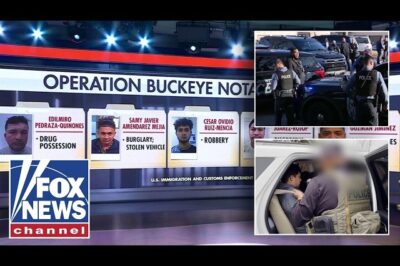DETAILS: ICE Arrests ‘Worst of the Worst’ in Major Enforcement Sweep Known as ‘Operation Buckeye’