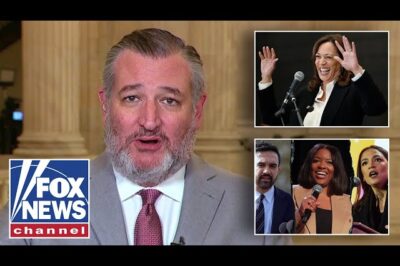 Ted Cruz Challenges Top Democrats, Says Harris, Crockett, Mamdani and AOC Should “Go on Tour”