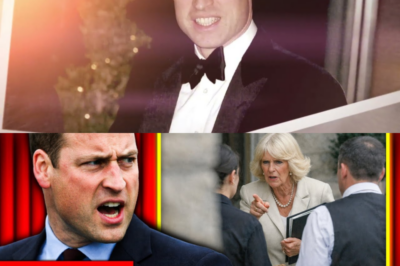 Whistleblowers Speak Out! Royal Staff Finally Reveal Camilla’s Secret Behavior—And William Has Gone ABSOLUTELY NUTS!