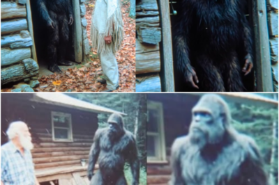 Native Elder Took Me to Bigfoot’s Cabin. What It Told About Humans Is Terrifying!