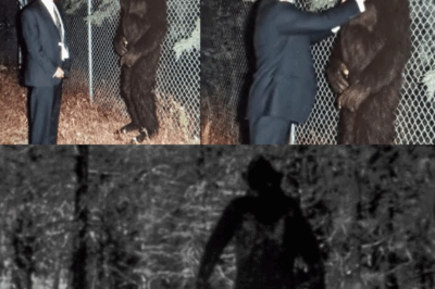 CIA Confession: Former Agent Admits Government Has Been Tracking Bigfoot Since 1962!
