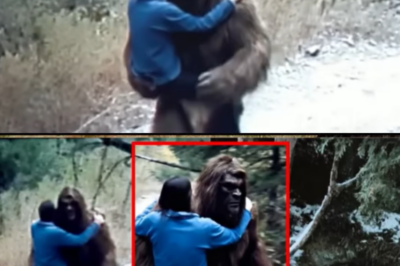 The Unmarked Grave: Forensic Anthropologist Reveals Sasquatch’s Terrifying Secret Behind Missing Hikers