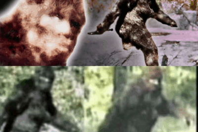 The Unbreakable Evidence: 3 Scientific Proofs That Confirm the Patterson-Gimlin Bigfoot’s Authenticity!