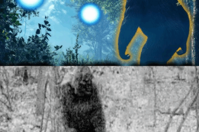 Beyond Biology: Why Scientific Bigfoot Research Must Finally Embrace the Paranormal.