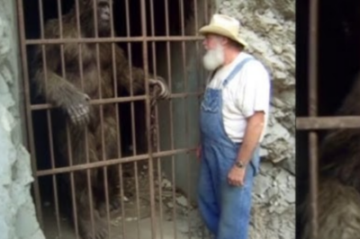 The Guard’s Confession: Paid to Watch Bigfoot, He Flipped Sides After Its Single Question About Humanity