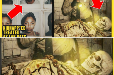 Detectives Find Missing Woman Alive After 17 Years in Basement — She Reveals 13 More “Guinea Pigs,” a Secret Laboratory, and a Killer Disguised as a Scientist