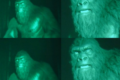 “Bigfoot Caught on Camera: The Surprising Reason It Was Guarding This Man’s Property!”