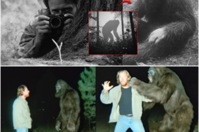 This Bigfoot Was Speaking Perfect English, But When It Noticed I Was Recording…