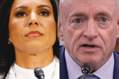 Tulsi Gabbard Fires Back: Mark Kelly Left Speechless After His Question Backfires!