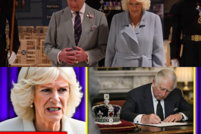The Crown in Chaos: King Charles Secretly Signs Abdication Papers, Leaving Camilla in a Rage!