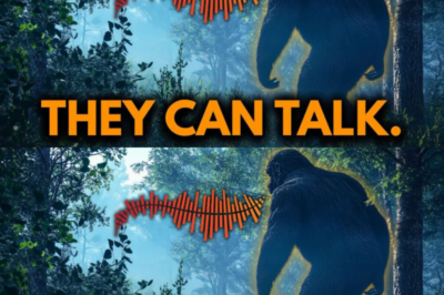 “The Secret Language of Bigfoot: New Evidence Unveils Their Unique Communication”