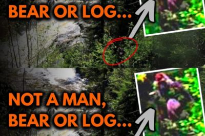 “3 Spine-Tingling Bigfoot Photos That Defy Explanation—And the Rational Reasons They Might Be Real”
