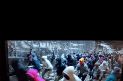 Chicago Streets Descend Into Chaos as Federal Judge Orders Mass Release of 1,700 Migrants