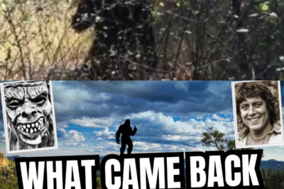 He Disappeared Without a Single Trace, but the Discovery Found Decade Later Shocked Everyone