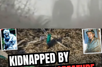 Two Seasoned Hunters Stepped Into the Nahani River Valley and Simply Ceased to Exist