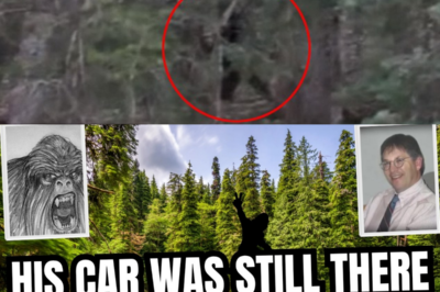 When Rangers Found Gilbert Gilman’s Vehicle, the Radio Was Still Playing—but the He Had Vanished into Thin Air