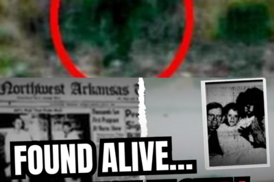 The Forest’s Secret: She Survived in the Deep Woods, but the Warning She Brought Back Left the Rescuers Trembling