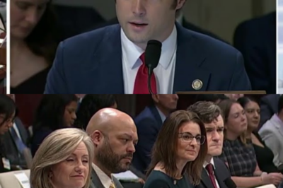 Somali Fraud Exposed: Rep. Gill Shatters Democrat Narratives in Explosive Hearing.