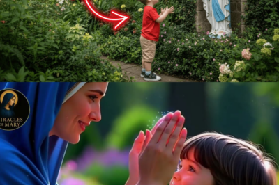 The Miracle in Denver — The Adopted Boy Who Spoke with the Virgin Mary in the Garden