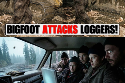 Bigfoot Attacked a Logging Crew… What Happened Next Will Shock You