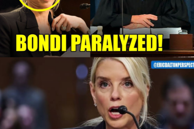 Pam Bondi PANICS After Judge SIGNALS PRISON Is INEVITABLE