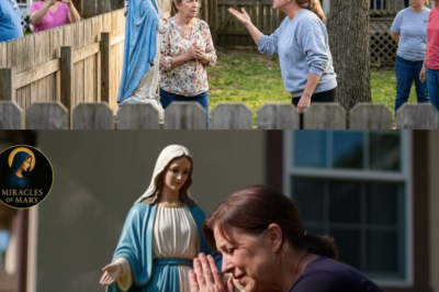 Neighbor Complained About a Virgin Mary Statue in the Garden… Then Something Unexpected Began