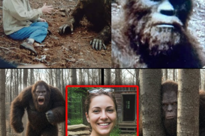 Bigfoot Can Speak – Woman Filmed Terrifying Sasquatch Talking To Her