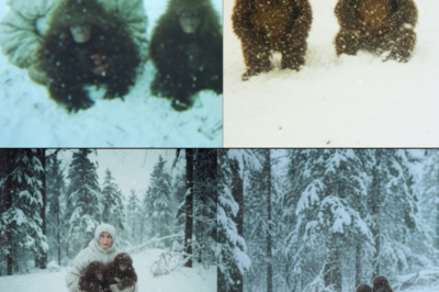 Elderly Woman Finds Two Bigfoot Babies — The Next Day, the Entire Tribe Showed Up at Her House