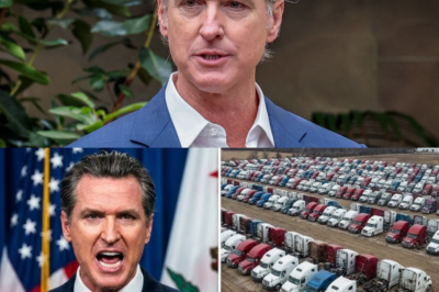 Governor Of California PANICS As Trucking Industry COLLAPSES!