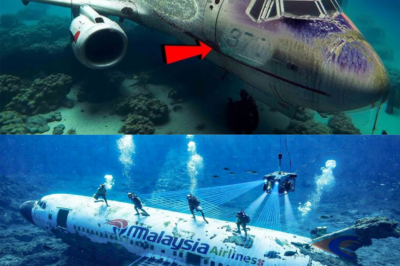 MH370 Mystery: After 11 Years, Underwater Drone Reveals New Evidence