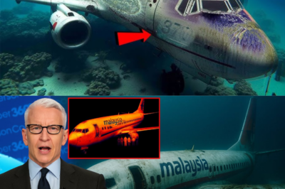 After 11 Years, Deep-Sea Submersible Finally Found MH370 — The Search Is Over