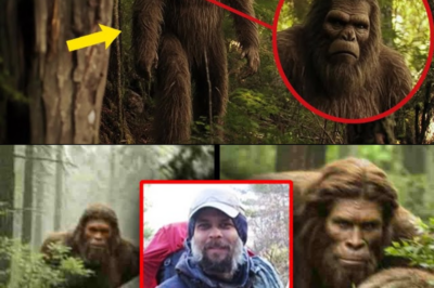 “I’m a Backpacker and Bigfoot Followed Me for Miles” – TRUE STORY