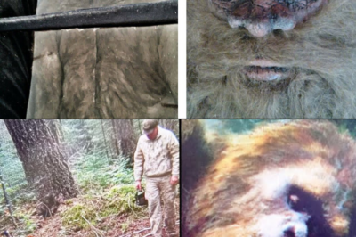 Hunter Tracks 2,000lb Bear, BUT He Finds a BIGFOOT NEST – Sasquatch Encounter