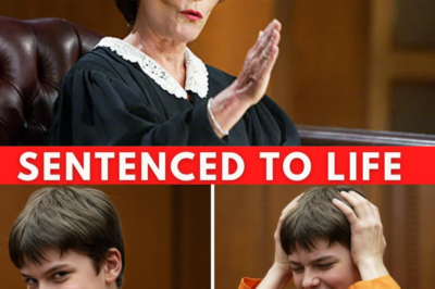 14-Year-Old Boy Murders His Mother, Acting Untouchable — Until the Judge Destroys His Ego