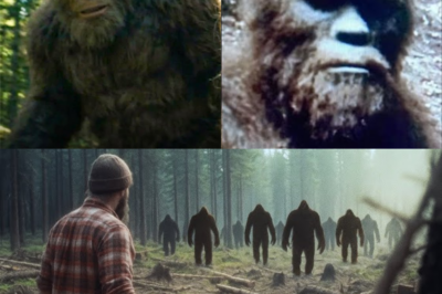 LUMBERJACK has ENCOUNTER with BIGFOOT — Footage SHOCKS EVERYONE!