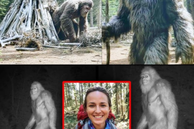 She Saw BIGFOOT on Her Final Hike.. And Never Returned