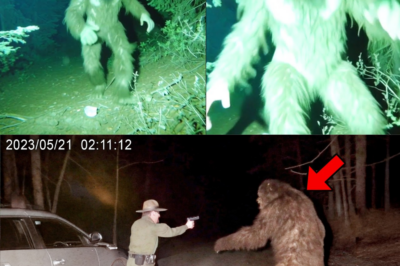 Park Ranger QUITS After SHOCKING ATTACK by 9-FT BIGFOOT!
