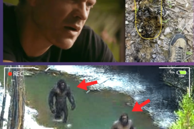 Bryce Johnson: “Our Drone Captured The Terrifying Truth We’ve Been Chasing!” | Expedition Bigfoot