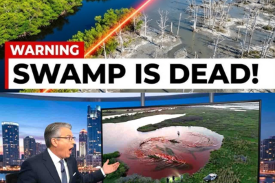 When Florida Lowered Lake Okeechobee, Something Started Moving Across the Bottom