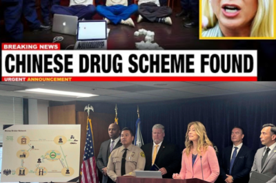 DEA Raids Arizona Chinese Restaurant Chain in Alleged Sinaloa Cartel Money-Laundering Scheme