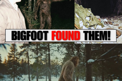Terrifying Discovery: Bigfoot Guided Me to a Graveyard of 1,000 Lost Hikers!
