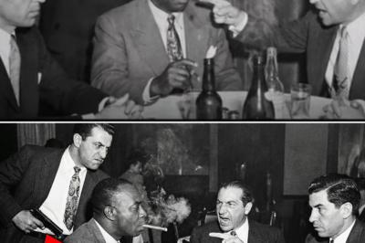 Lucky Luciano’s Men Put GUNS on Bumpy Johnson — What Bumpy Did Next Made the Mob Boss STAND DOWN