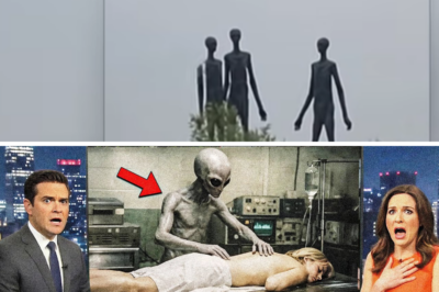 The MOST DISTURBING Ailen Footage Caught On Camera – Scientists Are Sh0.cked!